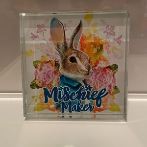 Dan Dee Peter Rabbit Table Top Decor/ Paper Weight “Mischief Maker” Brand New